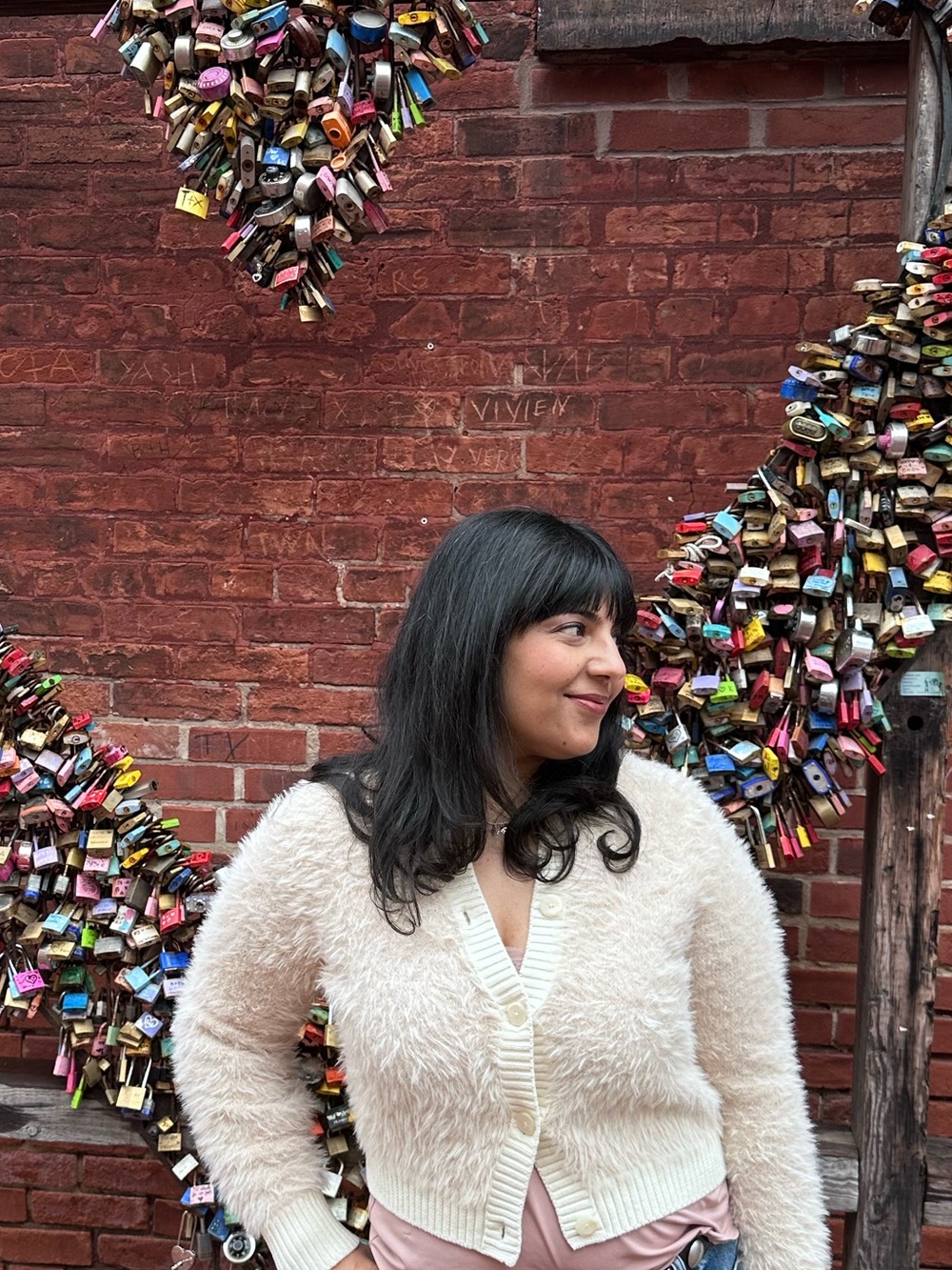 aerie fuzzy cardigan in shade cake batter